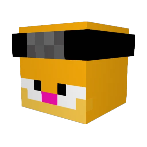 ArcadiaGay Minecraft avatar head, 3D render