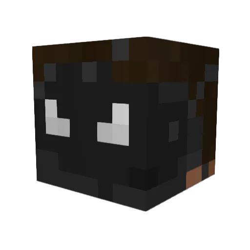 Arcanage Minecraft avatar head, 3D render