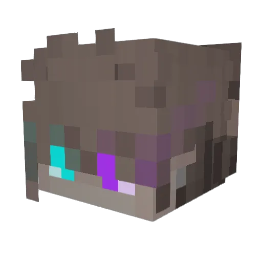 ArcaneAym Minecraft avatar head, 3D render