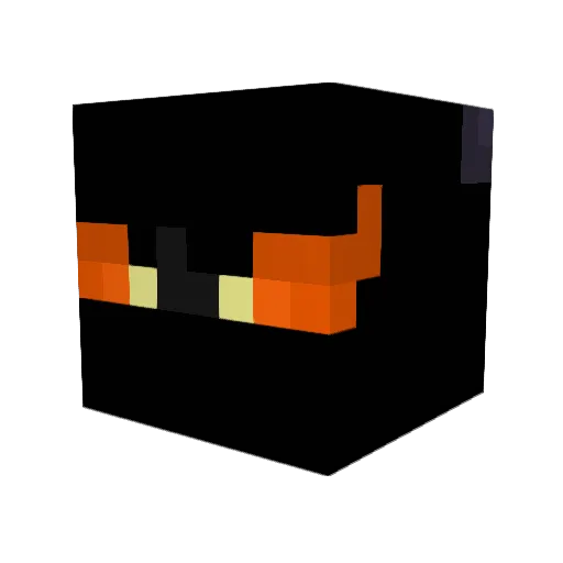 ArcaneDuck64 Minecraft avatar head, 3D render