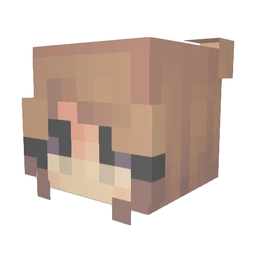 ArcaneGamer00 Minecraft avatar head, 3D render