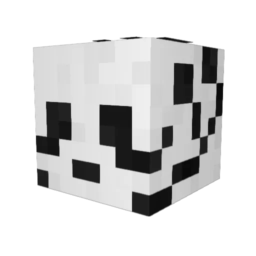 ArcaneOfTricks Minecraft avatar head, 3D render