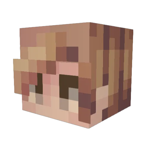 ArcaneRonin Minecraft avatar head, 3D render
