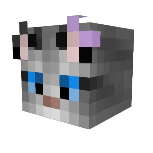 ArcaneSable Minecraft avatar head, 3D render