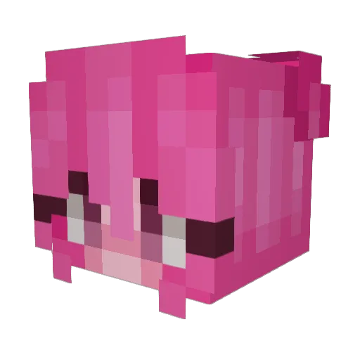 Arcane_Lux Minecraft avatar head, 3D render