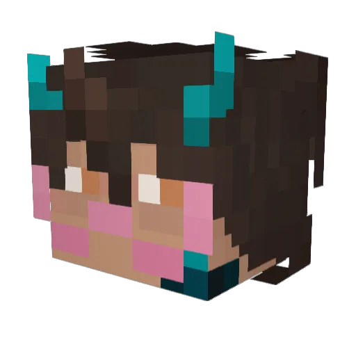 Arcane_acid Minecraft avatar head, 3D render