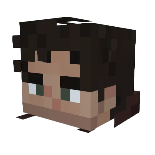 Arcaneyy Minecraft avatar head, 3D render