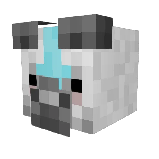 Arcanin38 Minecraft avatar head, 3D render