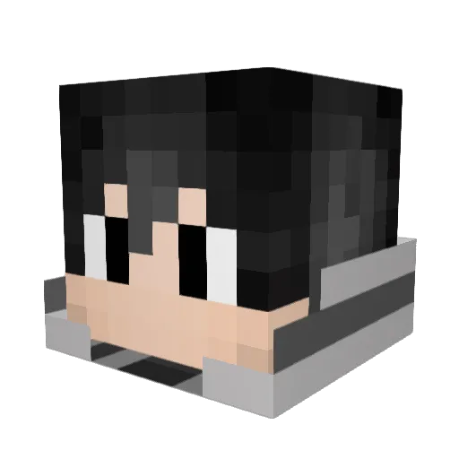 Arcanine64 Minecraft avatar head, 3D render