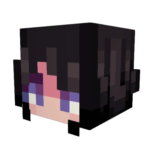 Arcannoss Minecraft avatar head, 3D render