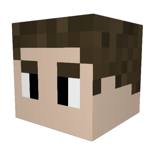 Arcarast Minecraft avatar head, 3D render
