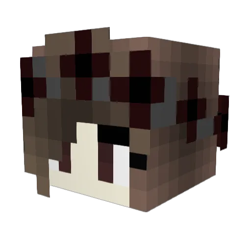 Arcazia_ Minecraft avatar head, 3D render