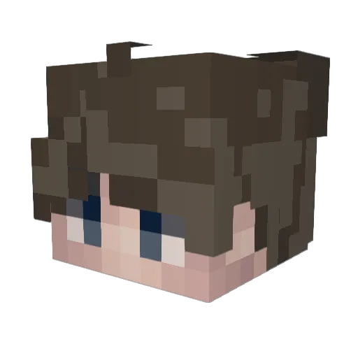 ArceeMC Minecraft avatar head, 3D render