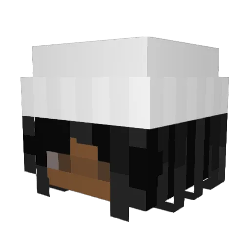 Arceis11 Minecraft avatar head, 3D render