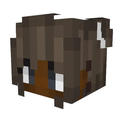 Arcen54 Minecraft avatar head, 3D render