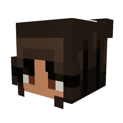 Arceus36 Minecraft avatar head, 3D render