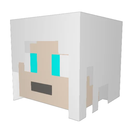 Arceus562 Minecraft avatar head, 3D render