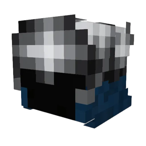 Arch_nemisis Minecraft avatar head, 3D render