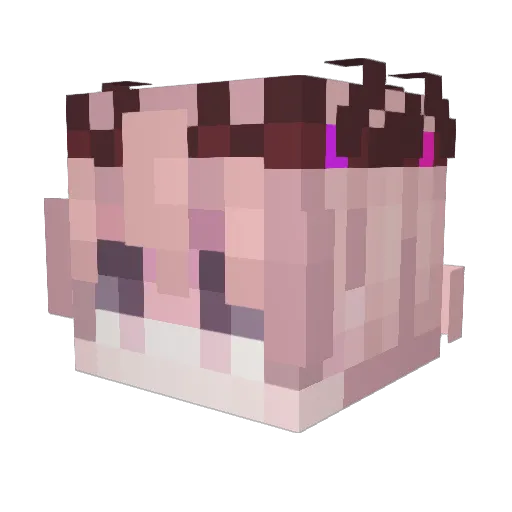 Archapelego Minecraft avatar head, 3D render