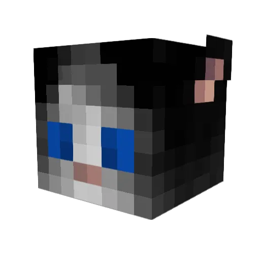 Archeltum Minecraft avatar head, 3D render
