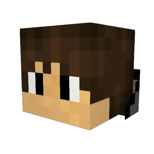 Archer_118 Minecraft avatar head, 3D render
