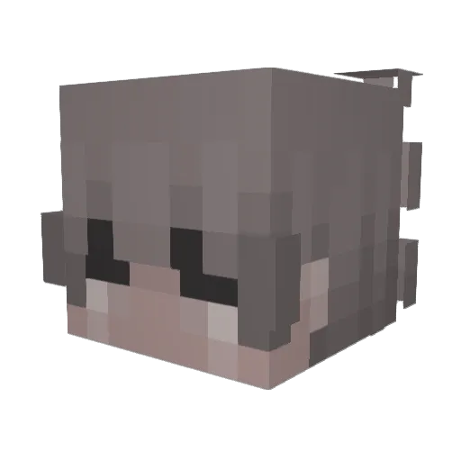 Archeryk Minecraft avatar head, 3D render