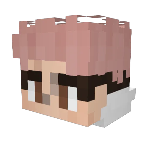 Archeteur Minecraft avatar head, 3D render
