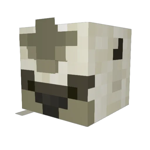 Archie_The_Best Minecraft avatar head, 3D render