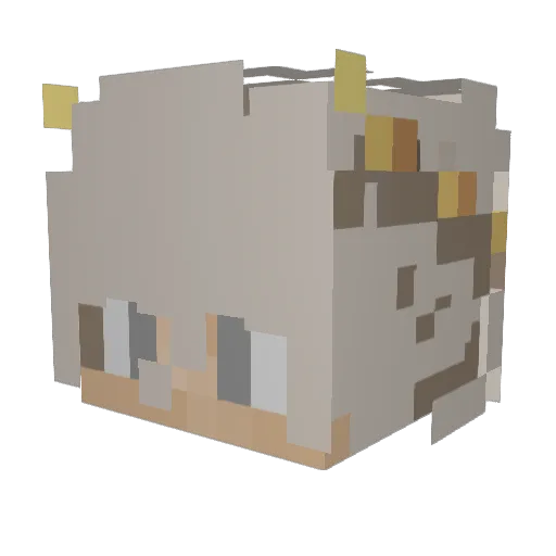 Archraell Minecraft avatar head, 3D render