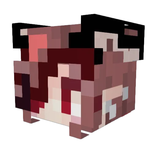 Arckeila Minecraft avatar head, 3D render