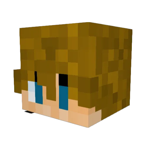Arcki4 Minecraft avatar head, 3D render