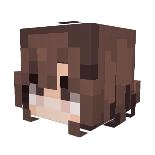 Arcoiris0 Minecraft avatar head, 3D render