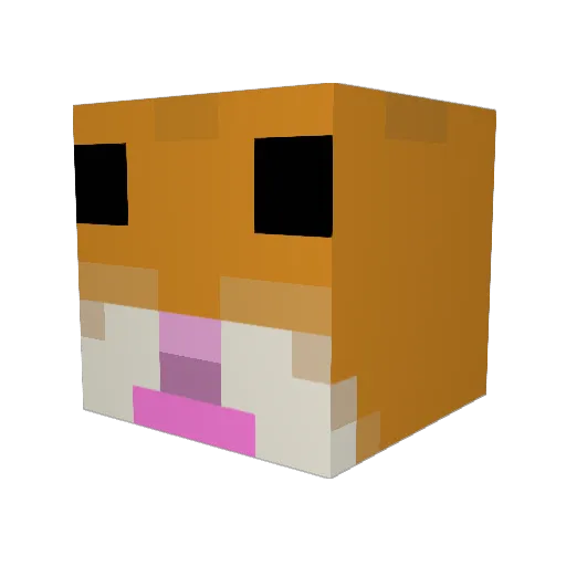 Arcozus Minecraft avatar head, 3D render