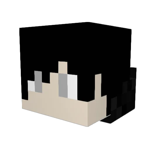 ArcrayNinja Minecraft avatar head, 3D render