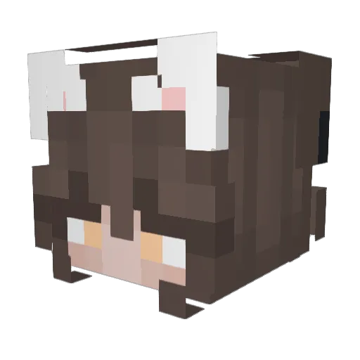Arcson_ Minecraft avatar head, 3D render