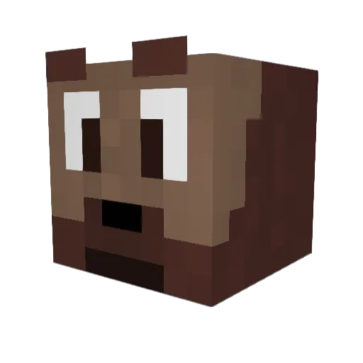 Arct1cz0 Minecraft avatar head, 3D render