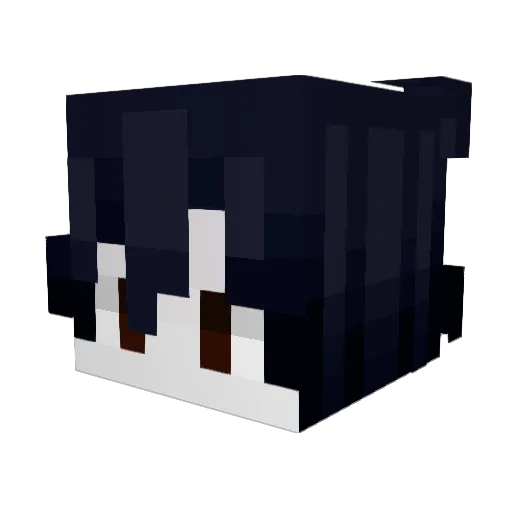 Arctaerfarius Minecraft avatar head, 3D render