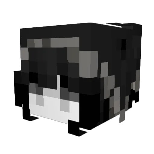 Arctic007 Minecraft avatar head, 3D render