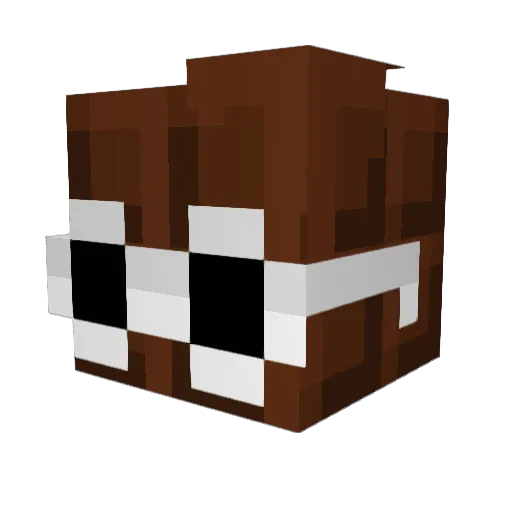 ArcticBanannas Minecraft avatar head, 3D render