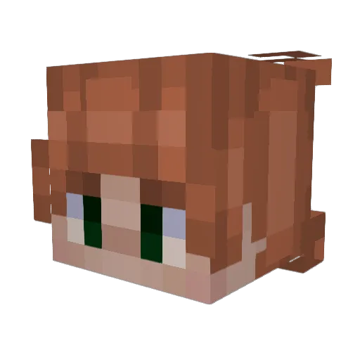 ArcticDevotee Minecraft avatar head, 3D render