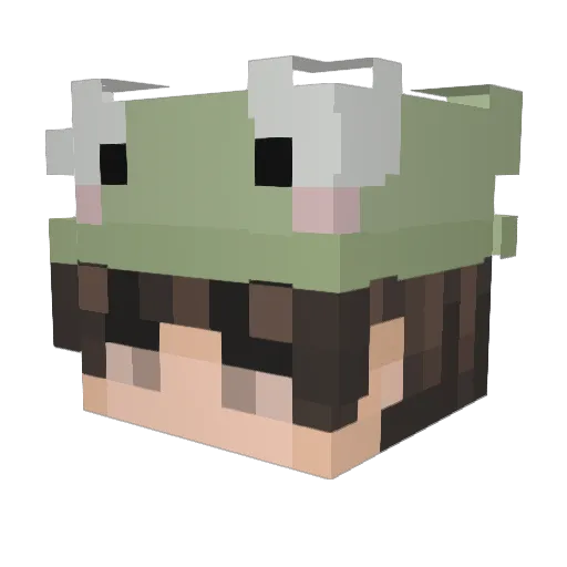 ArcticDoxx Minecraft avatar head, 3D render
