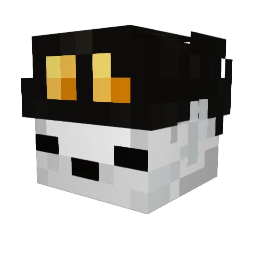 ArcticF0x1 Minecraft avatar head, 3D render