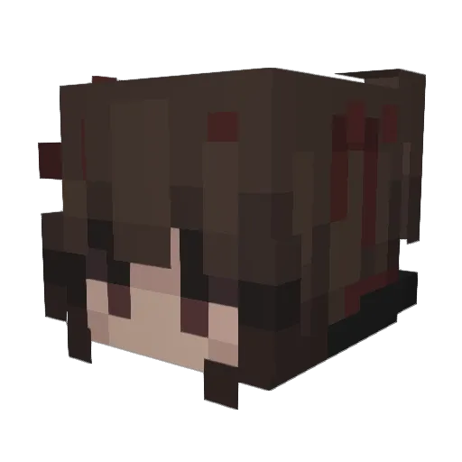 ArcticFox6352 Minecraft avatar head, 3D render