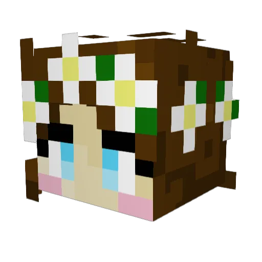 ArcticFoxPanda6 Minecraft avatar head, 3D render