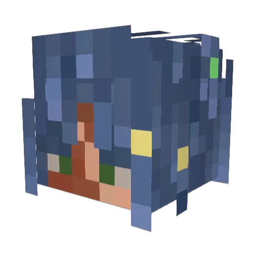 ArcticHalo6196 Minecraft avatar head, 3D render