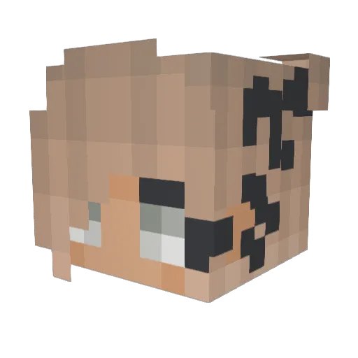 ArcticHayley Minecraft avatar head, 3D render