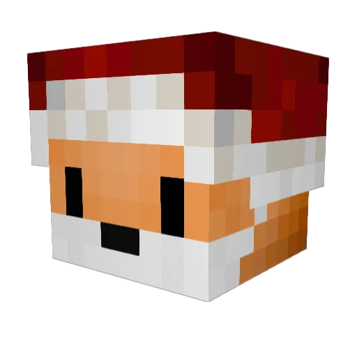 ArcticKnight27 Minecraft avatar head, 3D render