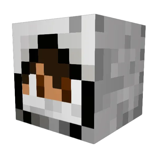 ArcticNinjaa Minecraft avatar head, 3D render