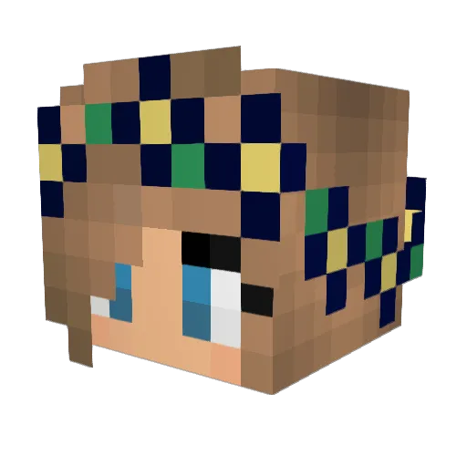ArcticPlayer29 Minecraft avatar head, 3D render