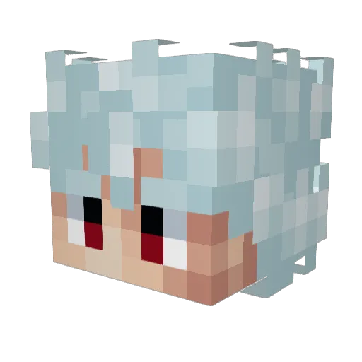 ArcticPuffin Minecraft avatar head, 3D render